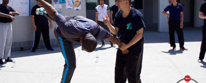 Grandmaster Li Tai Liang teaching Xinyi-Dao Kung Fu seminar in the West Coast