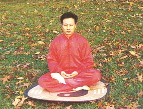 Xinyi-Dao Methods of Seated Meditation