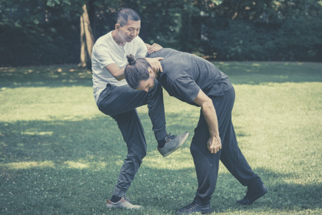 Dai Style Xinyiquan - Xinyi-Dao